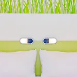 Ibis Budget