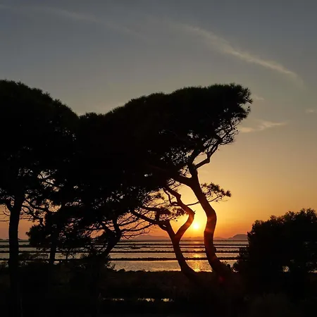 Hotell Ibis Budget Hyères