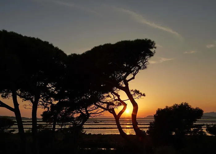 Hotel Ibis Budget Hyères